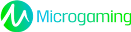 Provider Game MICROGAMINC